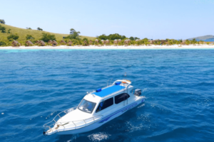 Paket Rekreasi Pink Beach One Day Trip Menggunakan Fastboat Dengan Harga Murah Di Komodo Labuan Bajo Manggarai Barat.