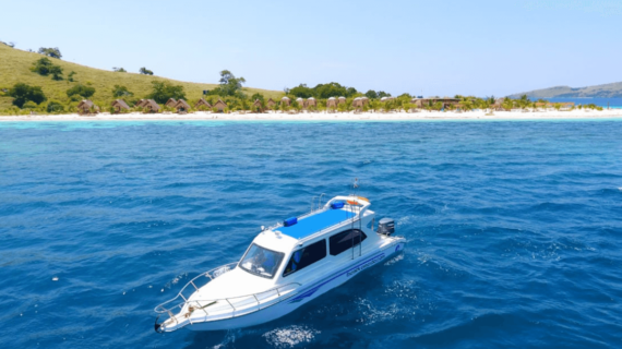 Paket Tur Pulau Komodo One Day Trip Dengan Fastboat