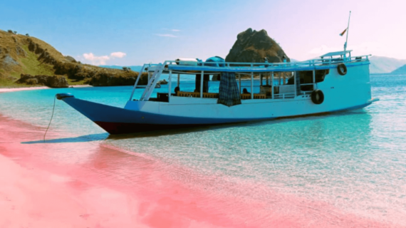 Tours Packages Pink Beach Full Day Trip Using Standard Wooden Ship With Affordable Prices In Komodo, Labuan Bajo, West Manggarai.