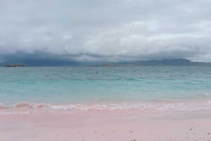 Long Pink Beach Labuan Bajo: Pesona Pantai Pink Terpanjang di Flores