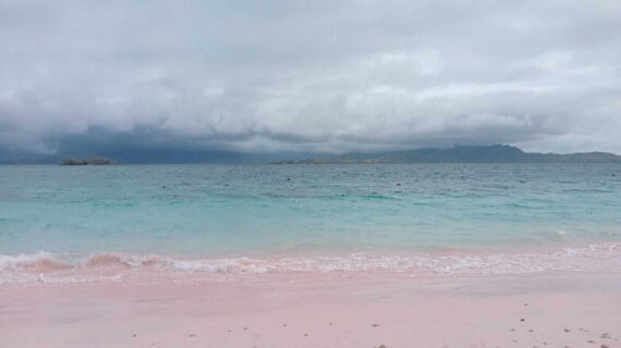 Long Pink Beach Labuan Bajo: Pesona Pantai Pink Terpanjang di Flores
