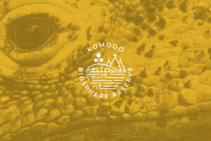 Cagar Biosfer Komodo: Pengawal Ekosistem dan Budaya di Tengah Kepulauan Indonesia