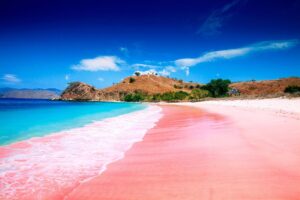 Affordable and Comfortable Accommodations in Labuan Bajo: A Traveler’s Guide