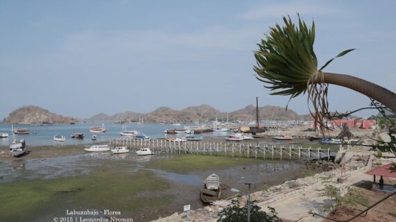 Exploring Labuan Bajo from Bali: A Comprehensive Guide to Travel Options