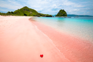 Labuan Bajo: Destinasi Wisata Instagrammable yang Menawarkan Pesona Alam dan Kehidupan Laut yang Mencengangkan