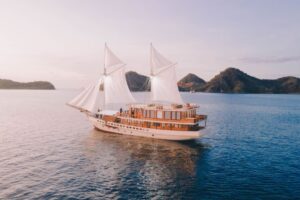 Tips Aman Memotret Komodo di Pulau Komodo, NTT