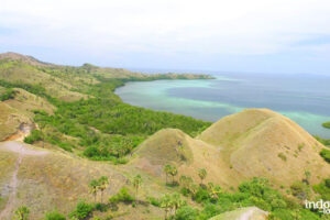 Wisata Menarik di Labuan Bajo, NTT yang Wajib Dikunjungi