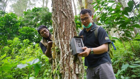 Fotografi Alam Liar: Menangkap Keindahan Dunia yang Tersembunyi