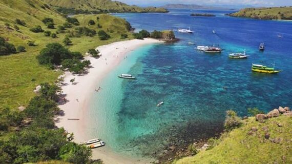 Pulau Rinca: Petualangan Liar di Tengah Kehidupan Komodo