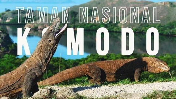 Taman Nasional Pulau Komodo: Warisan Dunia yang Menyimpan Rahasia Alam