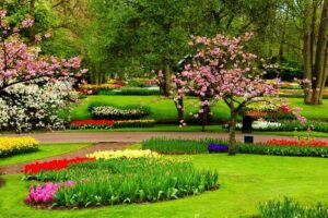 Taman Nasional Komodo: Keajaiban Alam dan Keanekaragaman Hayati di Tengah Indonesia