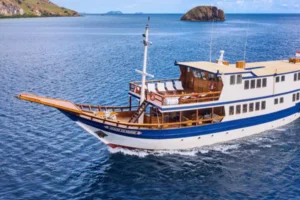 Exploring the Underwater Wonders of Komodo National Park