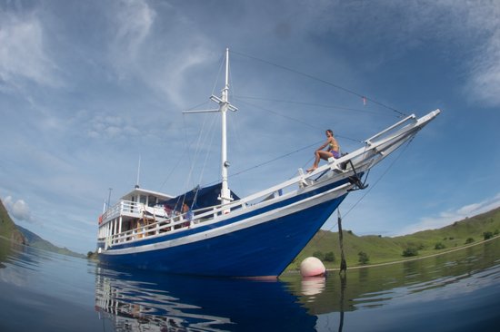 Wisatawan bersiap untuk snorkeling di perairan Labuan Bajo